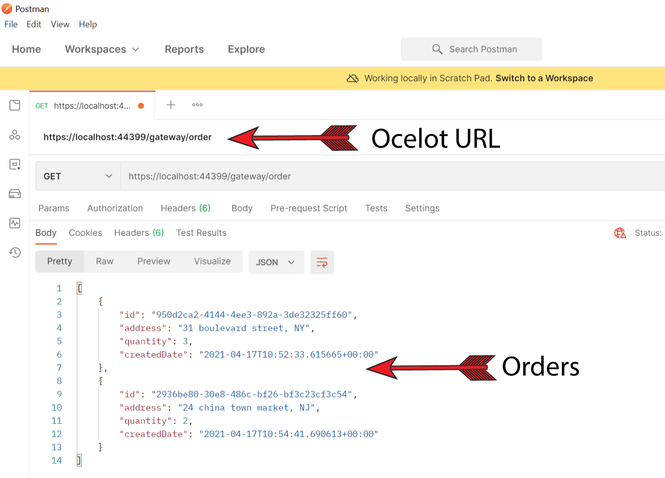 ocelot api gateway integration